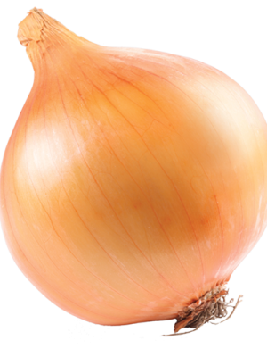 Onion