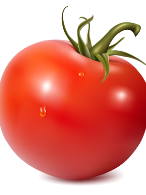 Tomato